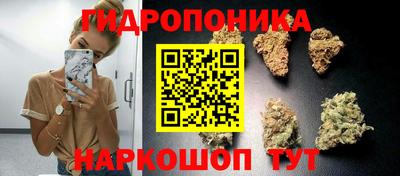 PSILOCYBIN Туймазы