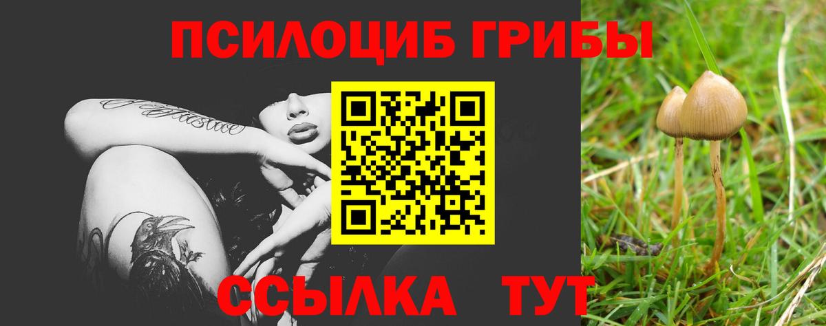 Псилоцибиновые грибы мицелий  Вход с VPN  Мурманск 